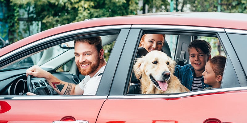 Lynch Family of Dealerships in Burlington WI